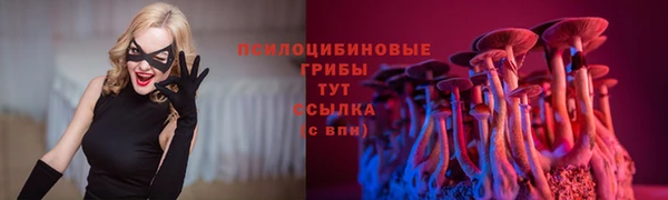 дурь Верея